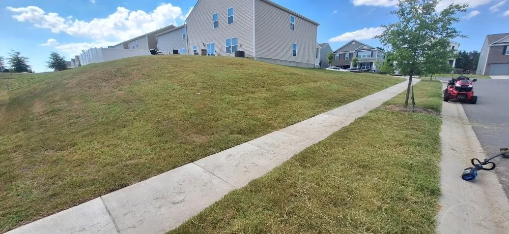 Professional yard maintenance experts serving Gastonia, NC - Green N' Clean