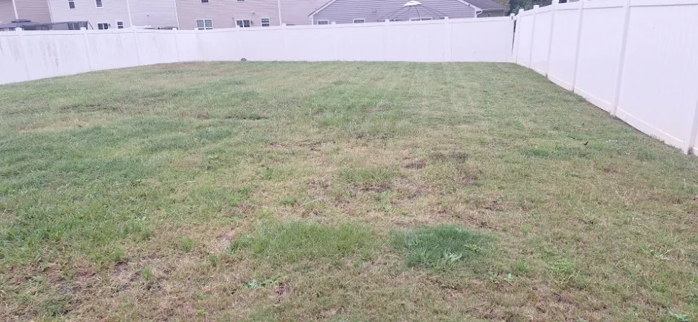 Trusted lawn mowing service in Gastonia, NC by Green N' Clean