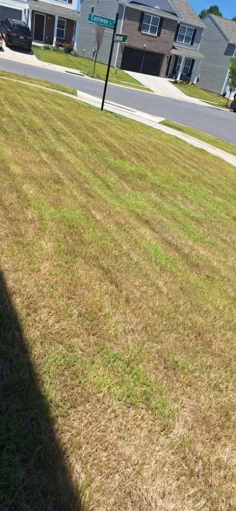 Trusted yard maintenance for outdoor upgrades in Gastonia, NC by Green N' Clean