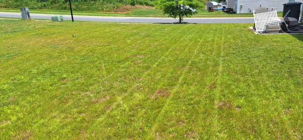 Professional yard maintenance in Gastonia, NC by Green N' Clean