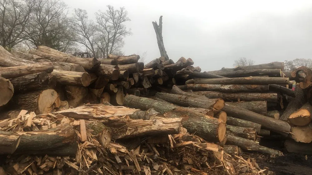 Professional landscaping services in Pembroke, MA - Green Nation Landscaping and Tree Service