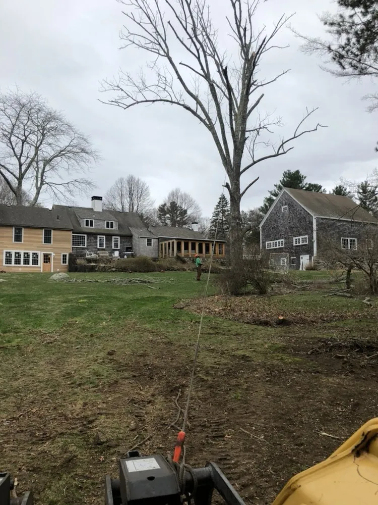 Professional garden landscaping in Pembroke, MA - Green Nation Landscaping and Tree Service