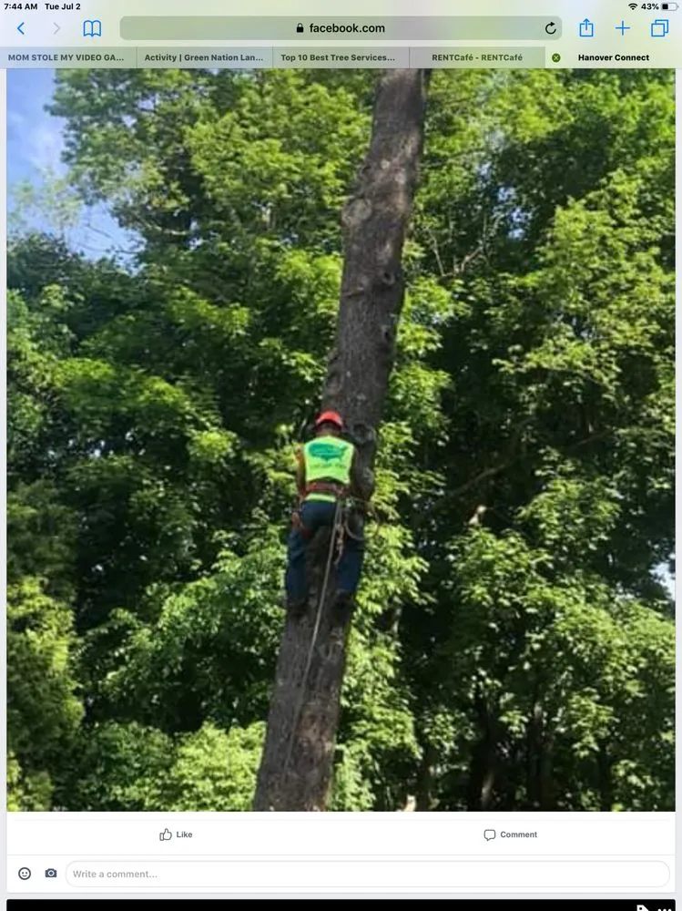 Trusted yard maintenance with custom design across Pembroke, MA - Green Nation Landscaping and Tree Service