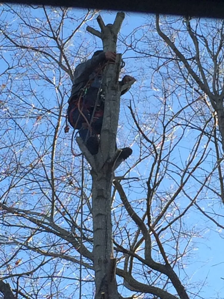 Reliable landscape design in Pembroke, MA - Green Nation Landscaping and Tree Service