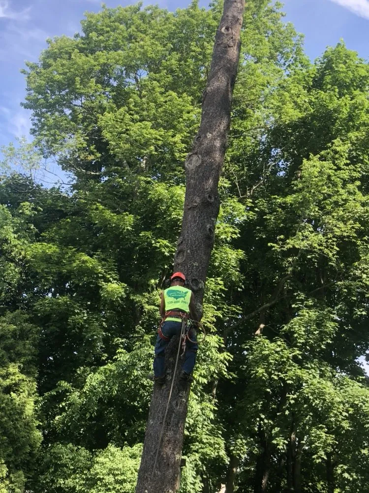 Trusted yard cleanup service with custom design in Pembroke, MA by Green Nation Landscaping and Tree Service