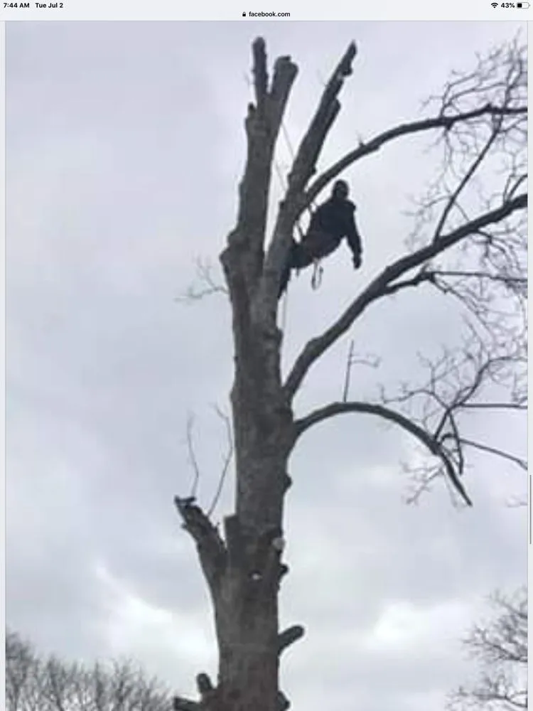 Custom outdoor landscaping experts serving Pembroke, MA - Green Nation Landscaping and Tree Service