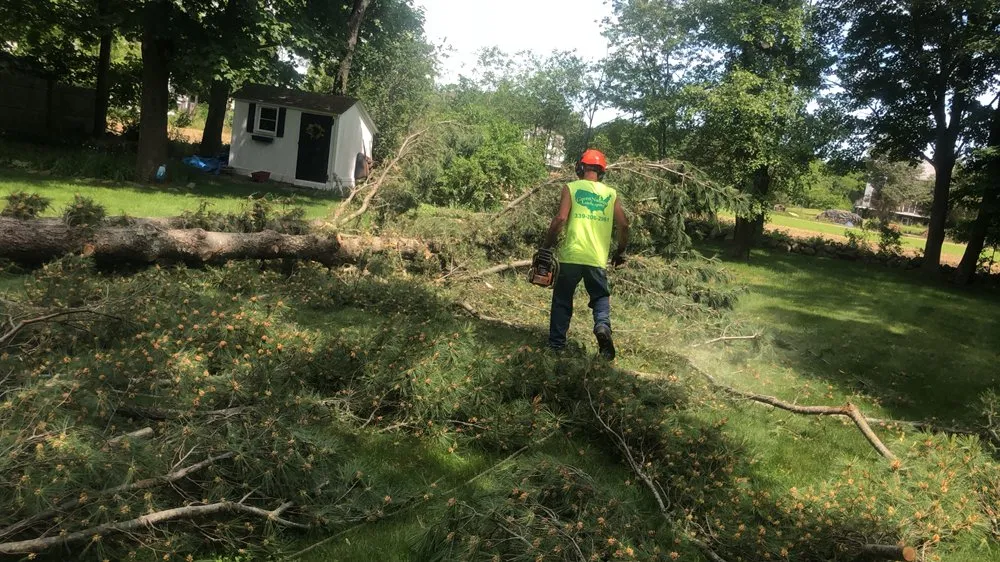 Local lawn care service with custom design across Pembroke, MA - Green Nation Landscaping and Tree Service
