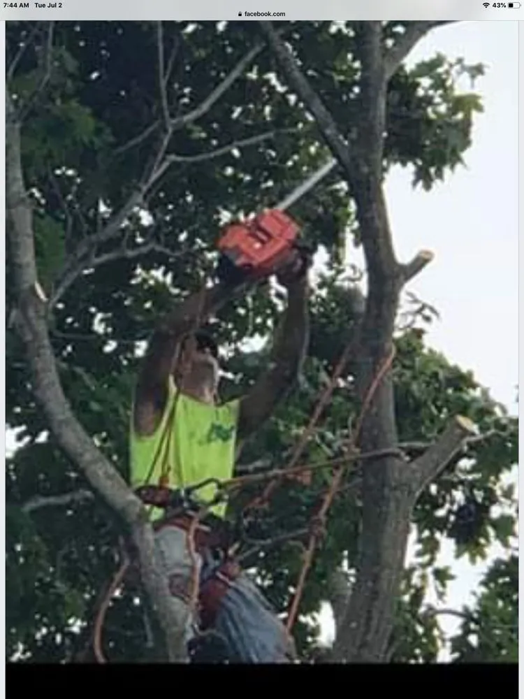 Trusted outdoor landscaping in Pembroke, MA - Green Nation Landscaping and Tree Service