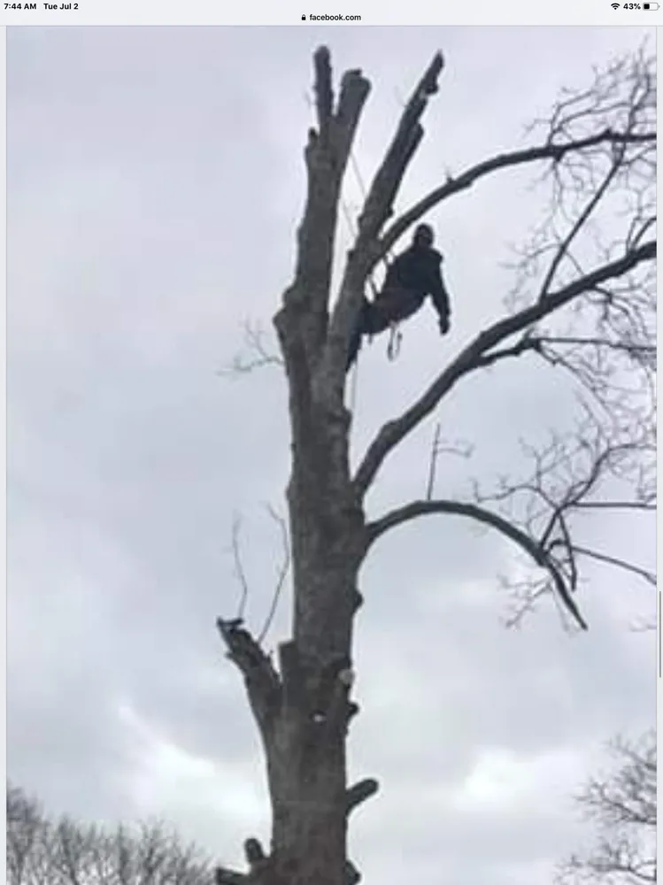 Expert yard cleanup service experts serving Pembroke, MA - Green Nation Landscaping and Tree Service