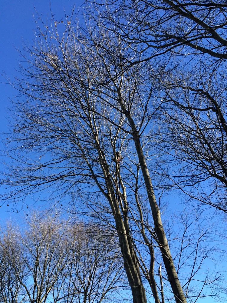 Custom residential landscaping with custom design in Pembroke, MA by Green Nation Landscaping and Tree Service