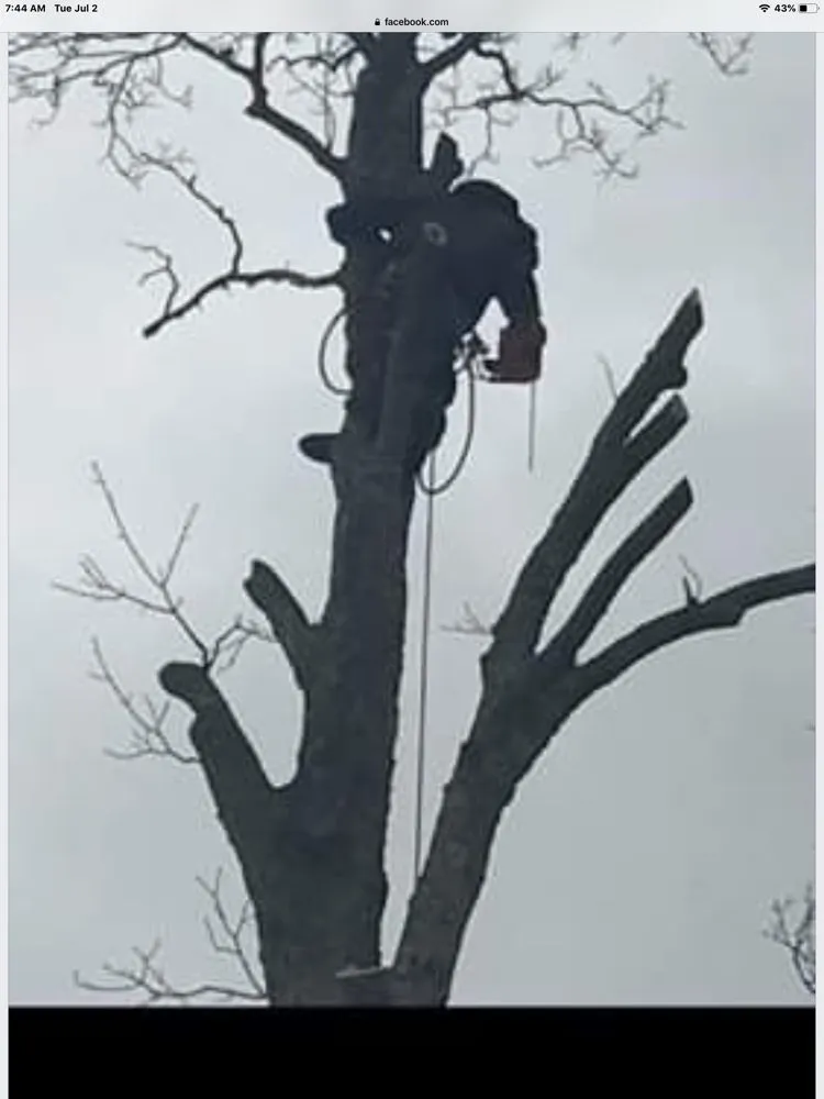 Affordable landscaping services for beautiful yards in Pembroke, MA by Green Nation Landscaping and Tree Service