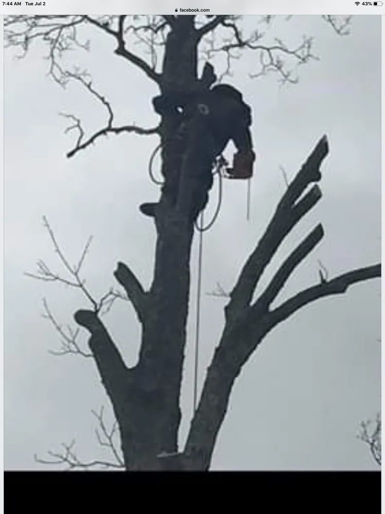 Top-rated lawn care service for residential properties in Pembroke, MA by Green Nation Landscaping and Tree Service