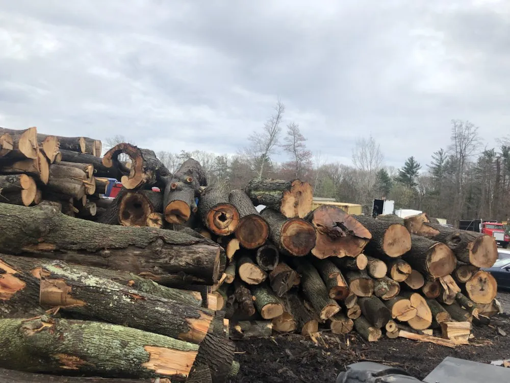 Top-rated yard cleanup service for residential properties in Pembroke, MA by Green Nation Landscaping and Tree Service