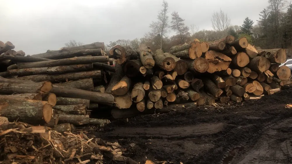 Affordable lawn mowing service experts serving Pembroke, MA - Green Nation Landscaping and Tree Service