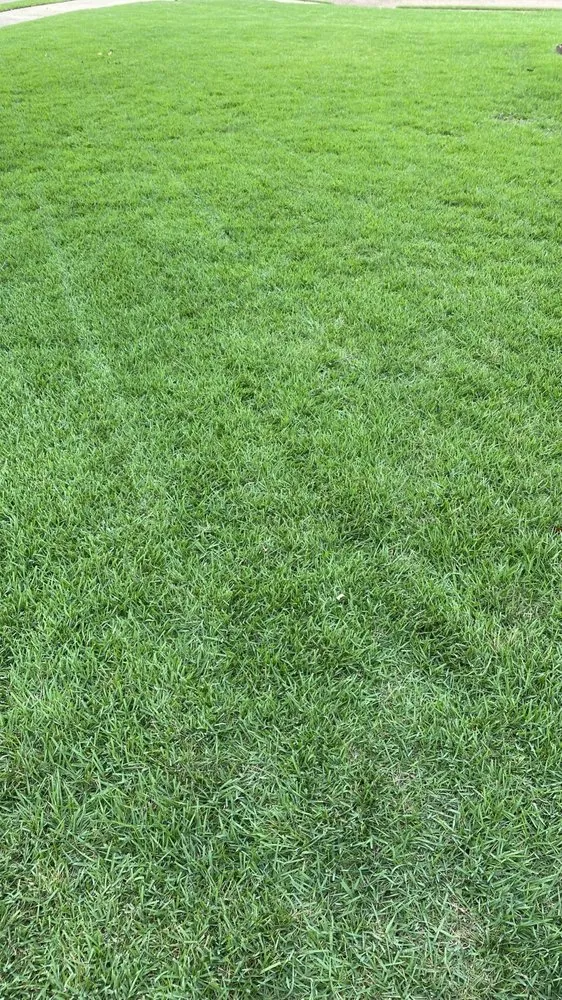 Affordable landscaping services for outdoor upgrades across Pearl, MS - Green Nature Lawn Care