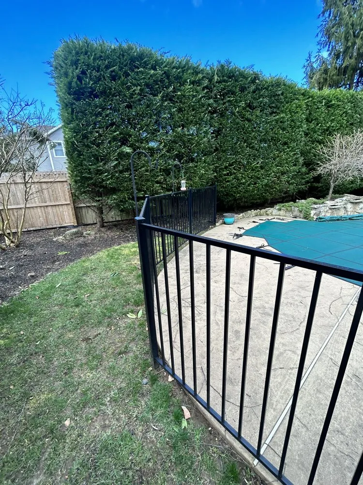 Affordable lawn care service in Neptune City, NJ - Green