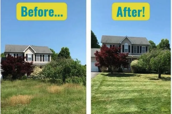 Top-rated outdoor landscaping experts serving DeSoto, TX - Green Nights