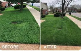 Local lawn care service in DeSoto, TX - Green Nights