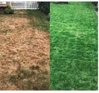 Reliable landscaping services in DeSoto, TX - Green Nights