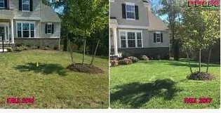 Professional landscape design for outdoor upgrades across DeSoto, TX - Green Nights