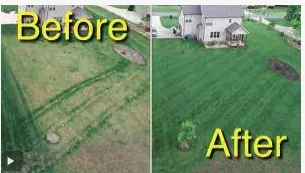 Top-rated outdoor landscaping in DeSoto, TX - Green Nights