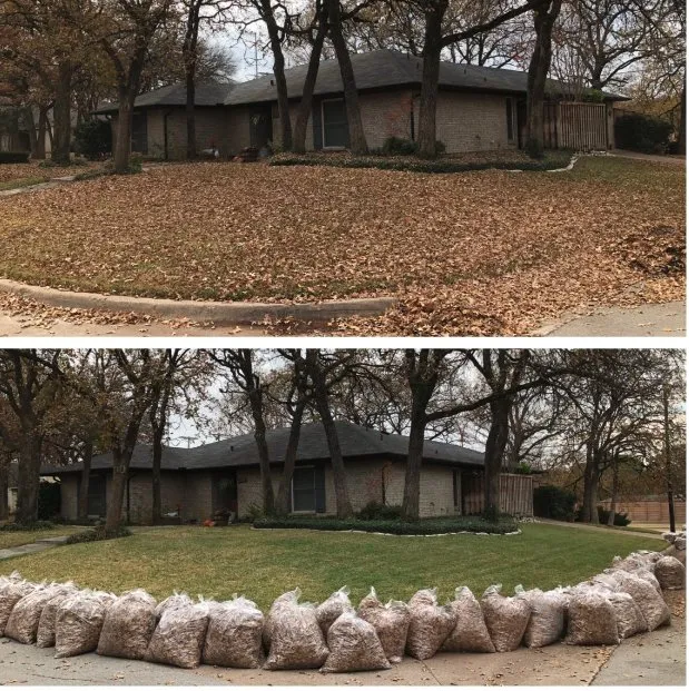 Top-rated garden landscaping in DeSoto, TX - Green Nights