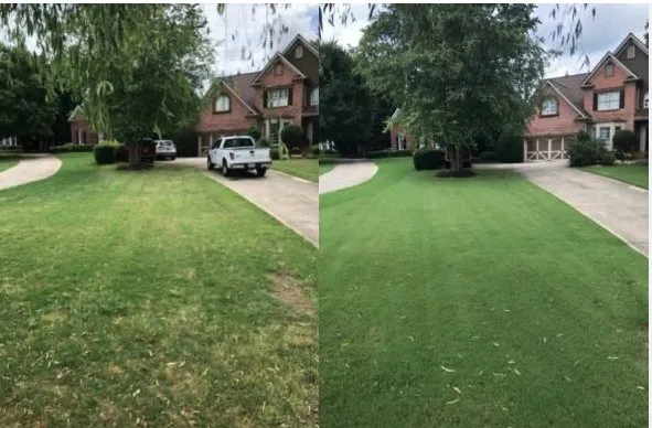 Professional residential landscaping in DeSoto, TX by Green Nights