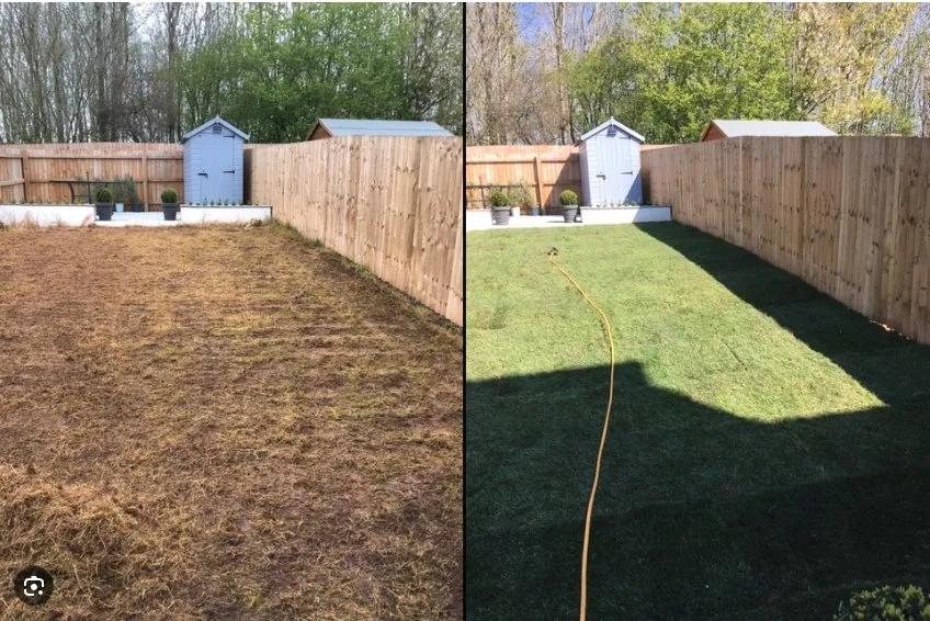 Trusted yard cleanup service in DeSoto, TX by Green Nights