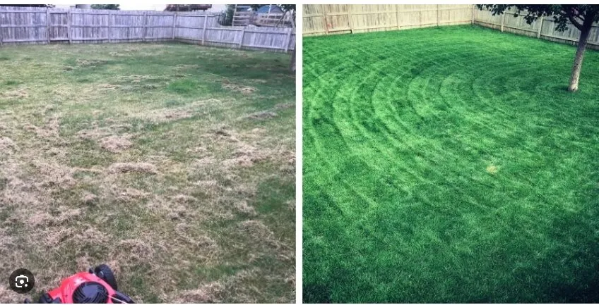 Top-rated residential landscaping in DeSoto, TX by Green Nights