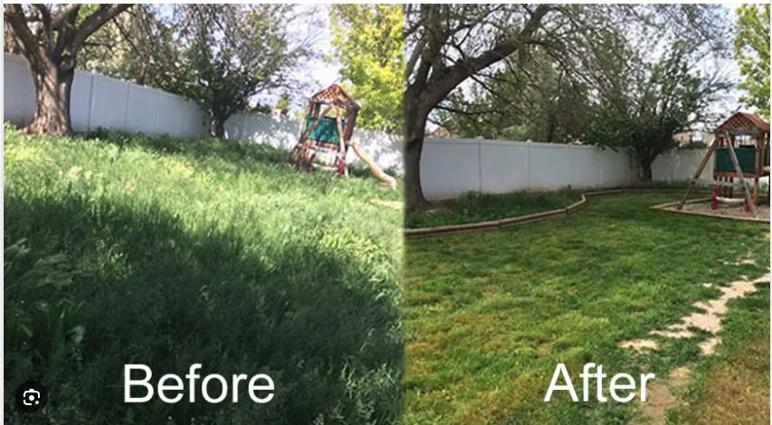 Expert garden landscaping in DeSoto, TX by Green Nights