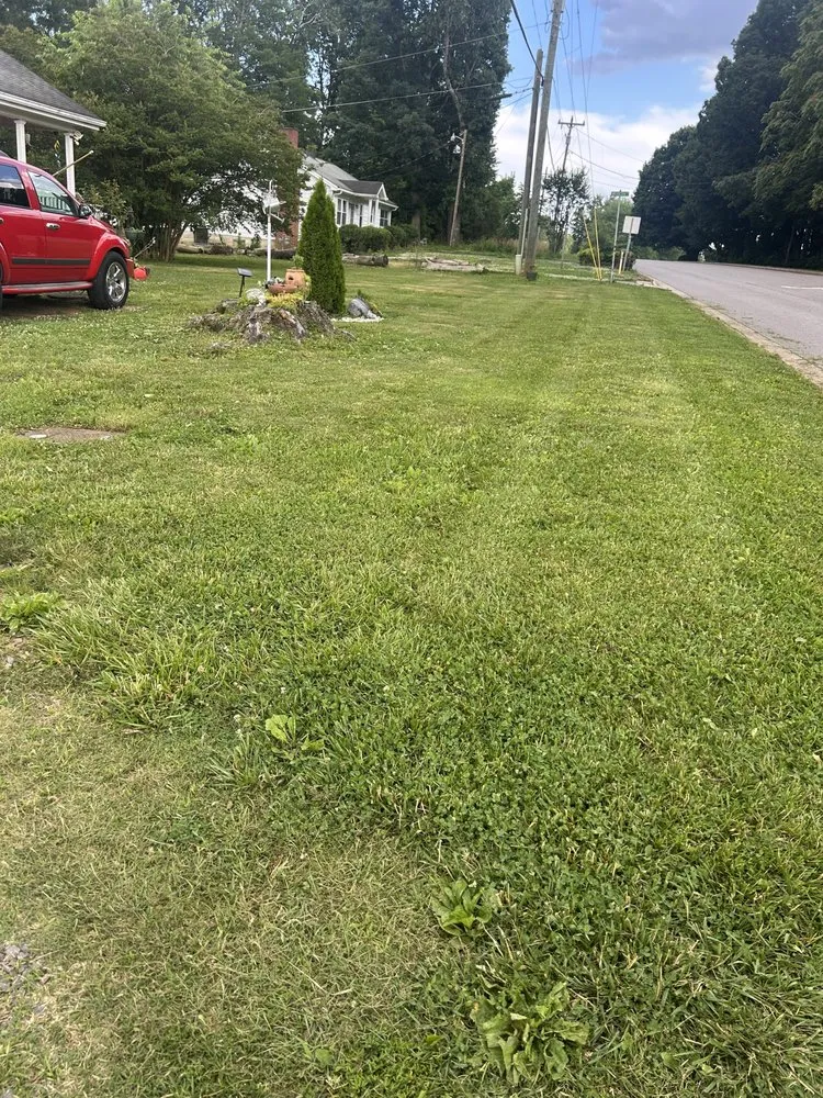 Reliable yard cleanup service for outdoor upgrades across Yadkin, NC - Green Nimbus Lawncare