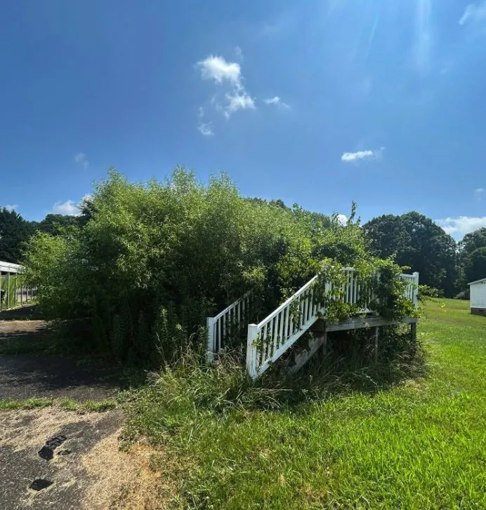 Affordable lawn care service in Yadkin, NC by Green Nimbus Lawncare