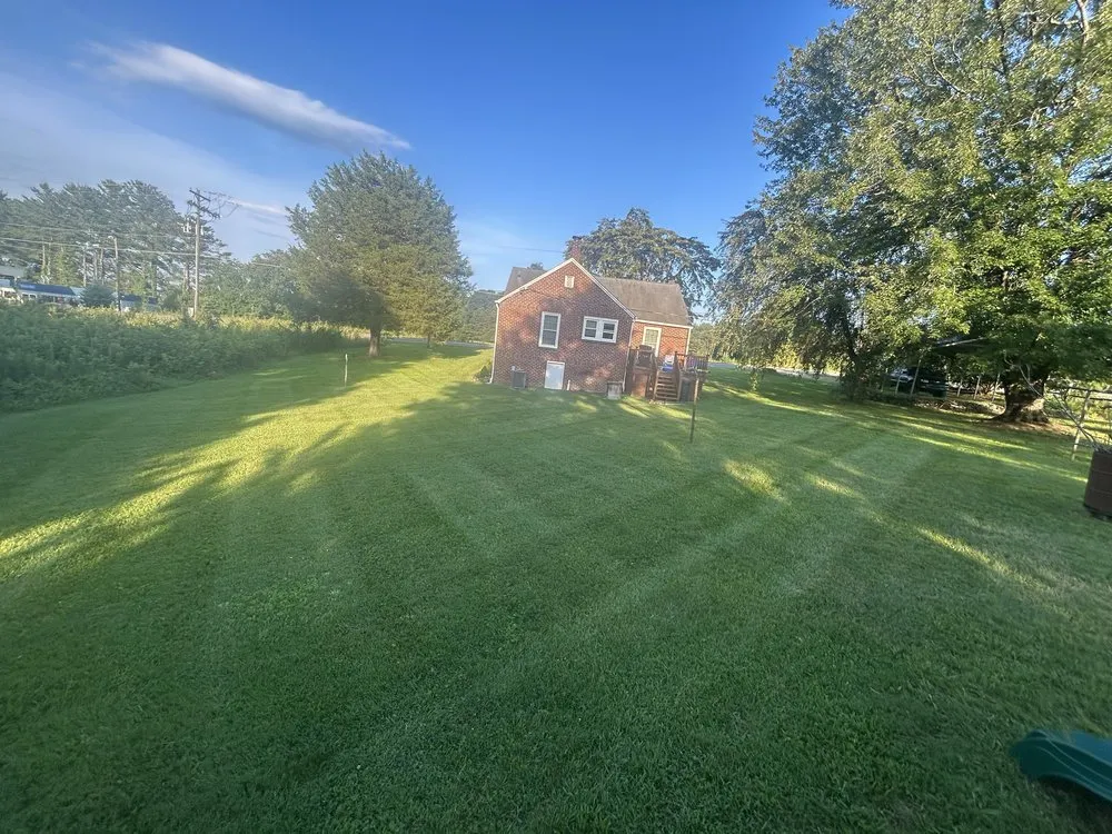 Reliable yard maintenance in Yadkin, NC by Green Nimbus Lawncare