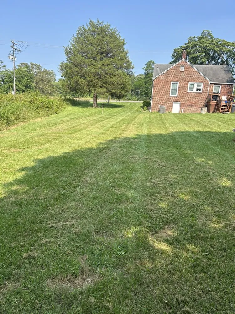 Local lawn care service for beautiful yards across Yadkin, NC - Green Nimbus Lawncare