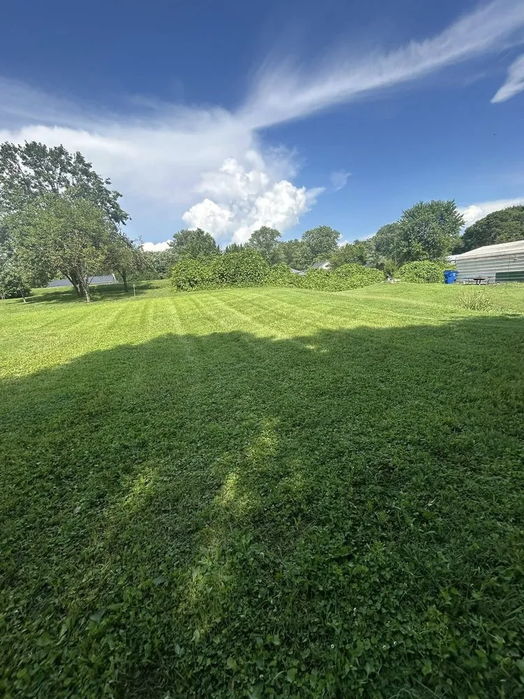 Top-rated lawn care service in Yadkin, NC by Green Nimbus Lawncare