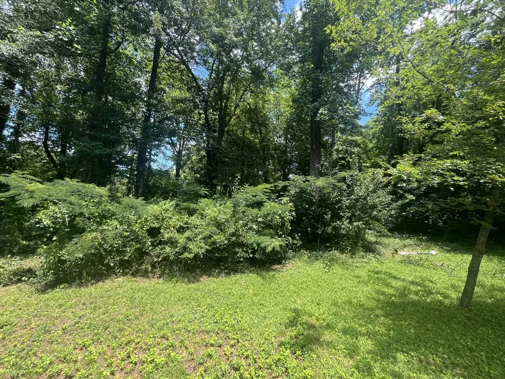 Expert yard maintenance in Newton, NC by Green Ninja Landscaping