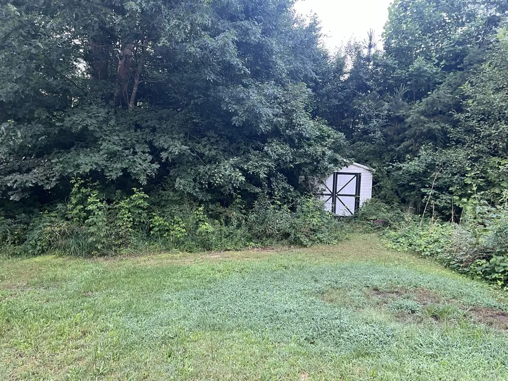 Expert lawn care service experts serving Newton, NC - Green Ninja Landscaping