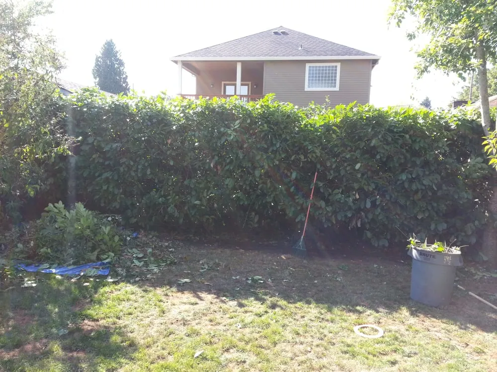 Custom yard cleanup service in Beaverton, OR - Green O Landscape Maintenance