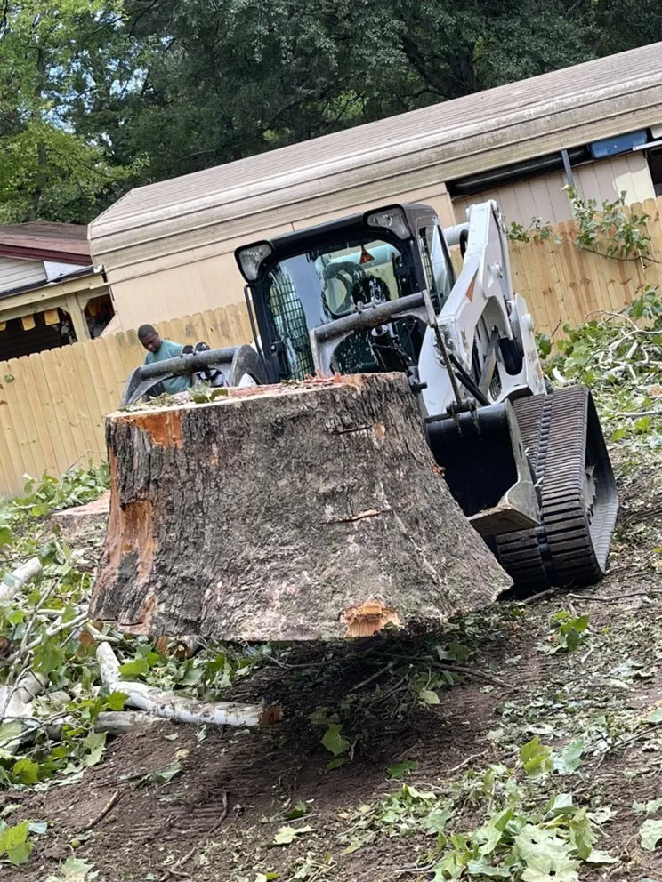 Custom outdoor landscaping near you across Holly Springs, MS - Green Oak