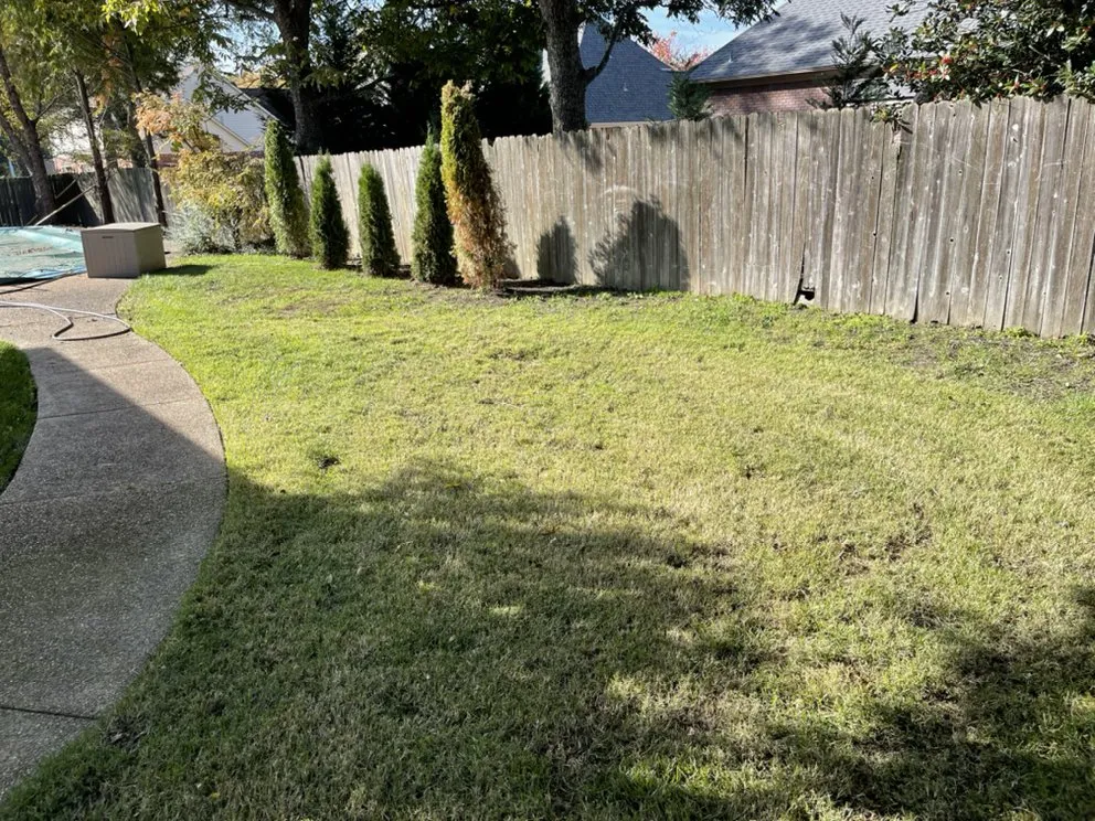 Expert landscaping services for beautiful yards across Holly Springs, MS - Green Oak