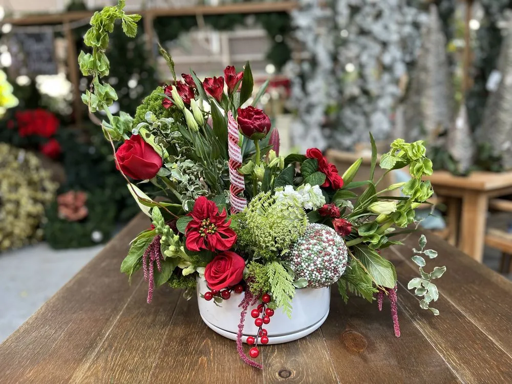 Professional lawn care service in Jackson, MS by Green Oak