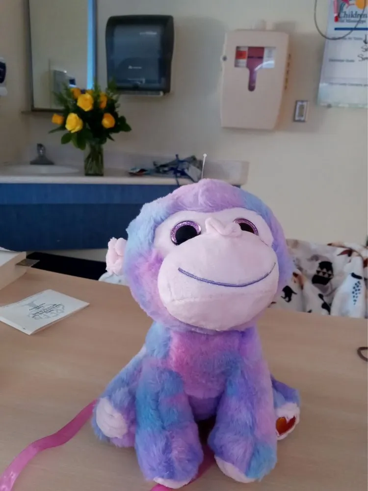 Top-rated lawn care service in Jackson, MS by Green Oak