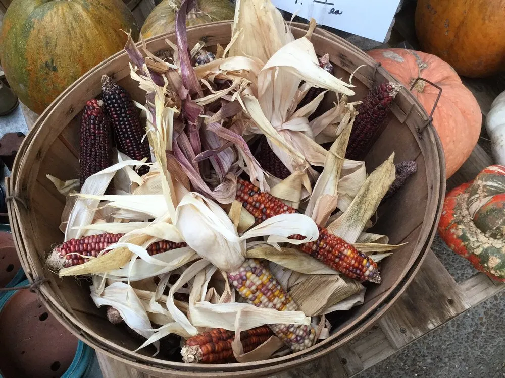 Top-rated yard cleanup service in Jackson, MS - Green Oak