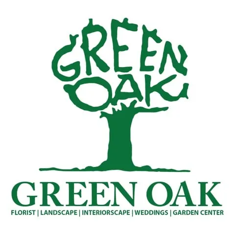 Expert lawn mowing service for homes across Jackson, MS - Green Oak