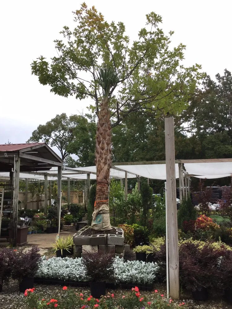 Local landscaping services in Jackson, MS - Green Oak