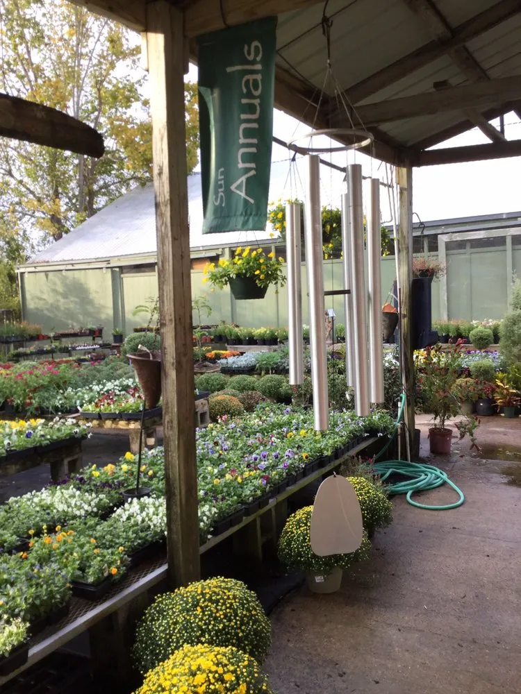 Top-rated lawn care service with custom design in Jackson, MS by Green Oak