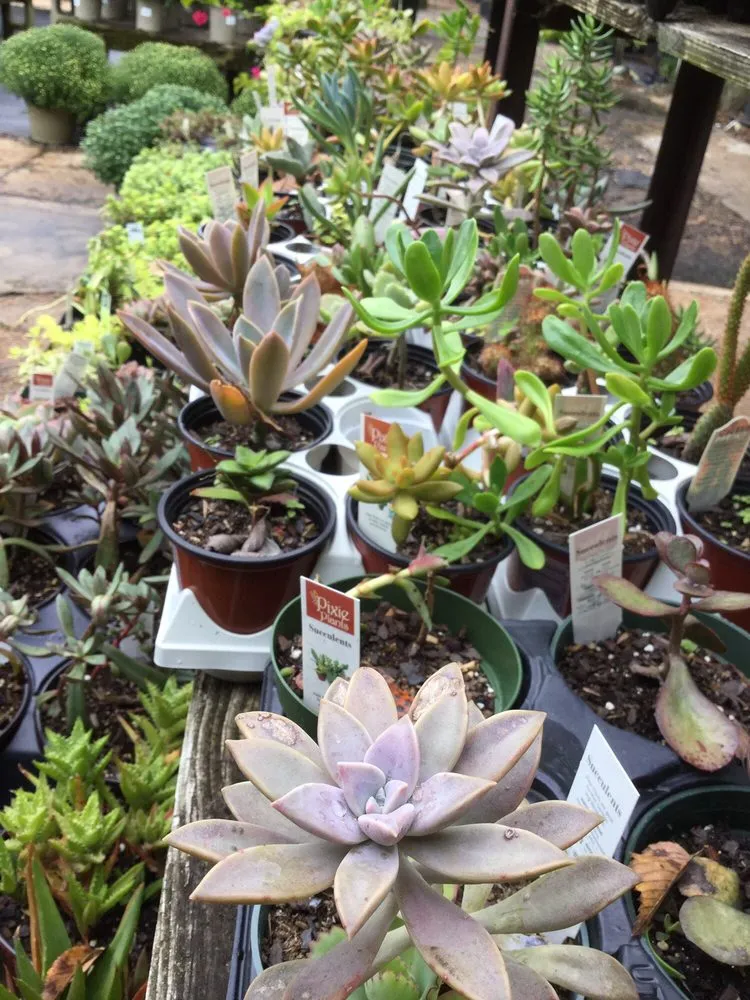 Top-rated landscape installation in Jackson, MS - Green Oak