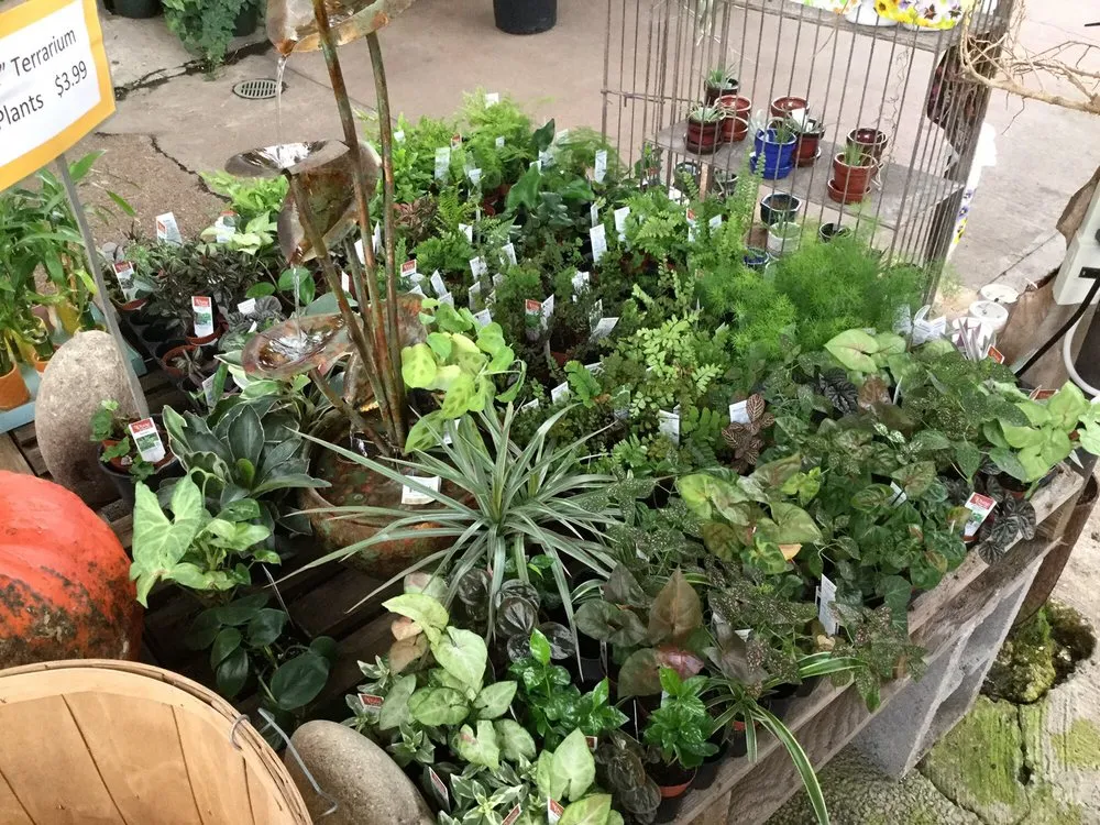 Top-rated yard maintenance in Jackson, MS by Green Oak