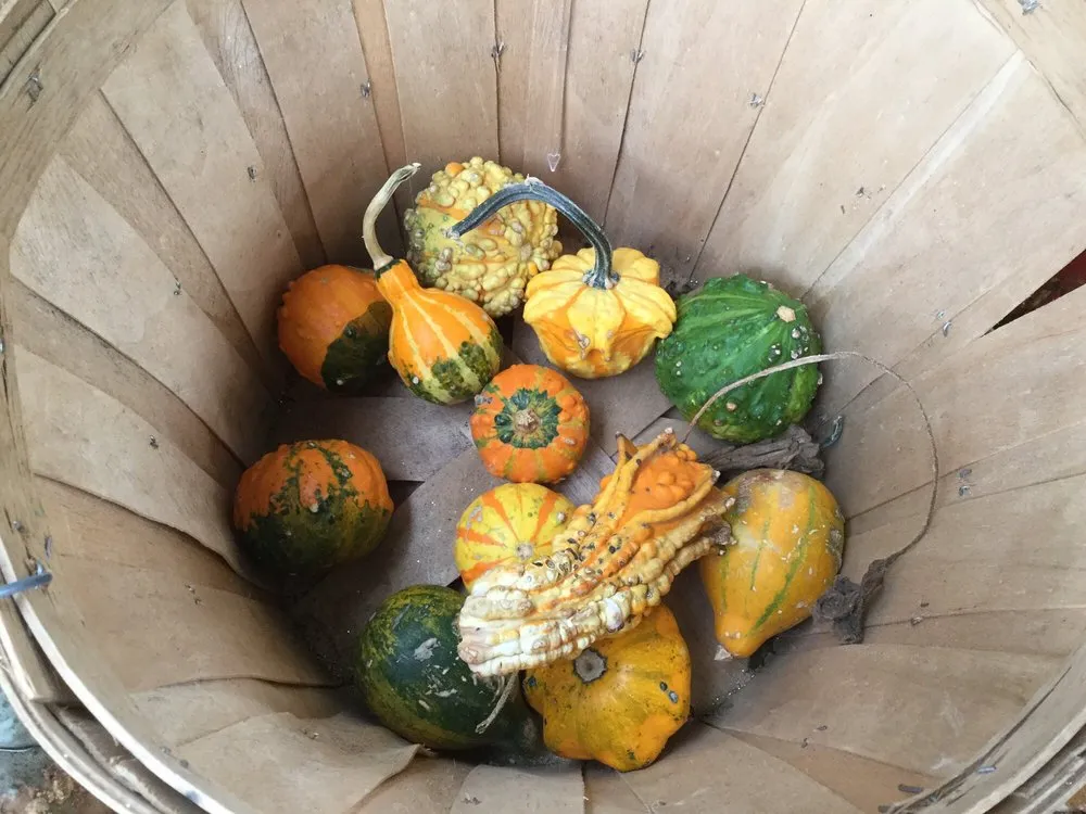 Reliable garden landscaping in Jackson, MS by Green Oak