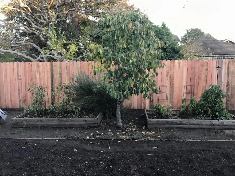 Top-rated yard cleanup service for outdoor upgrades in Petaluma, CA by Green Oak Landscape